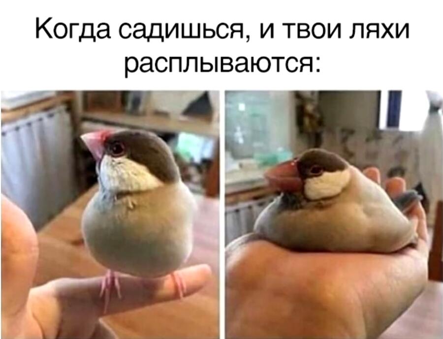 Мем от misfortune official