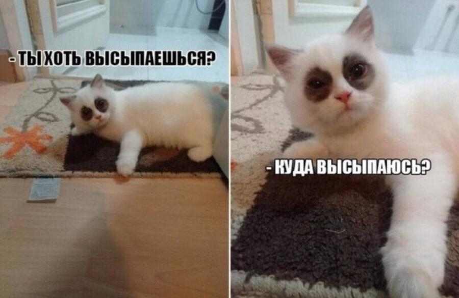 Мем от misfortune official