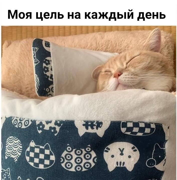 Мем от misfortune official