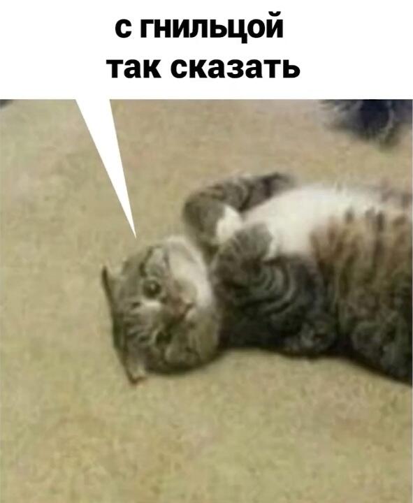Коротко о той самой учительнице, которая кажется милой и доброй, объясняет материал, но при этом втихаря ставит двойки з