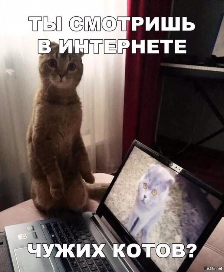 Мем без подписи