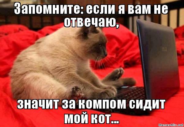 Мем от misfortune official