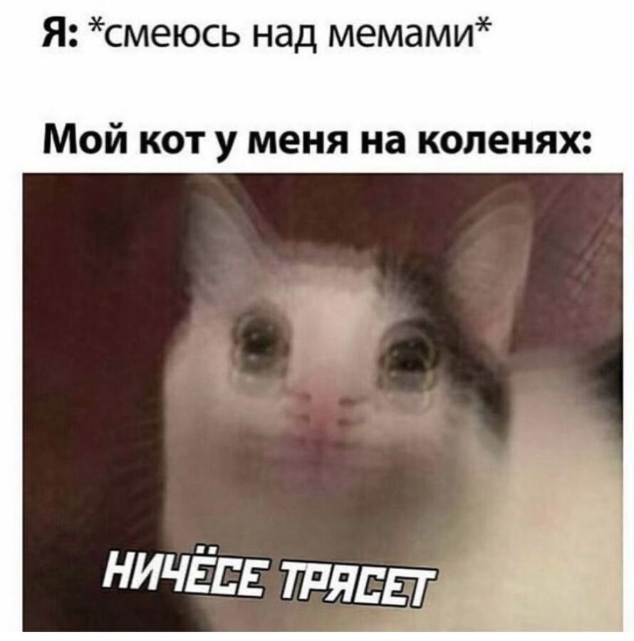 Мем от misfortune official