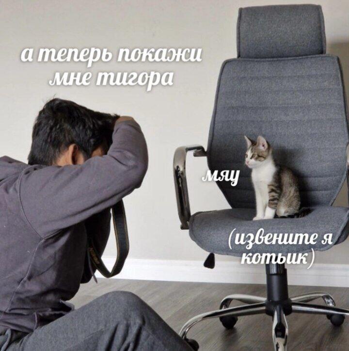 Мем от misfortune official