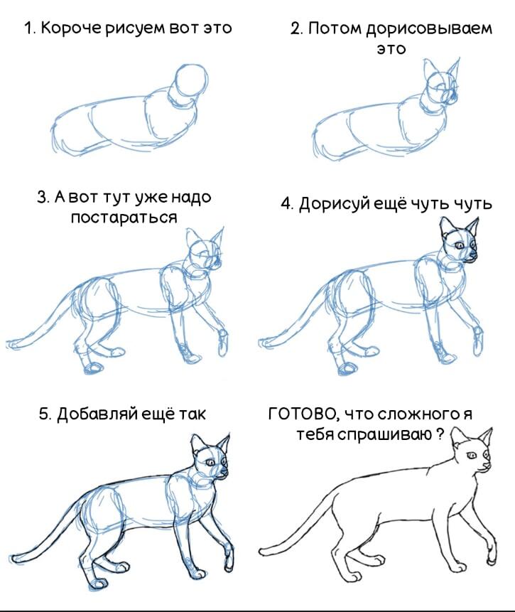 Котики не против собачек-2