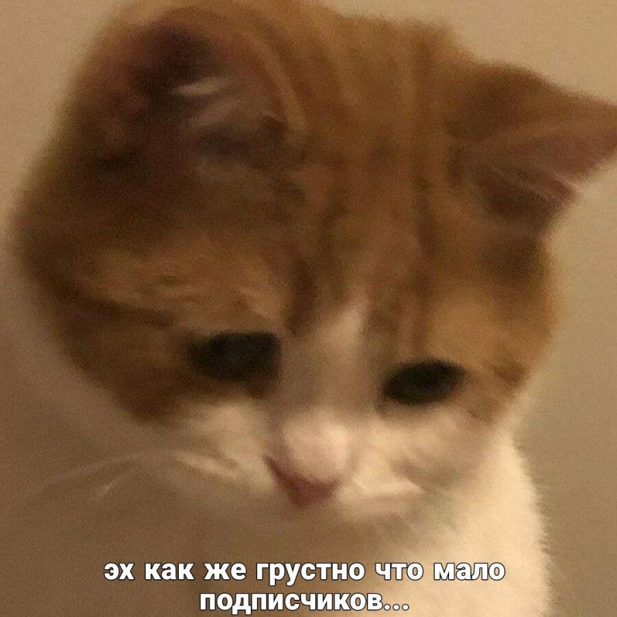 Начинашки, не грустите.)✨️✨️✨️✨️✨️✨️✨️✨️✨️✨️🪄  На вас подп...