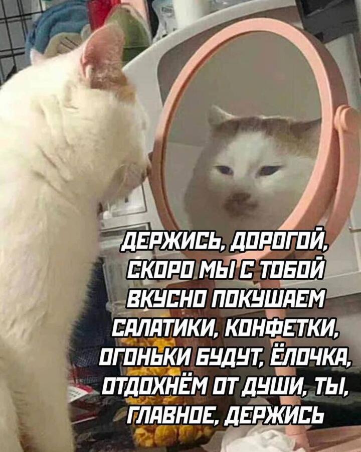 Мем без подписи