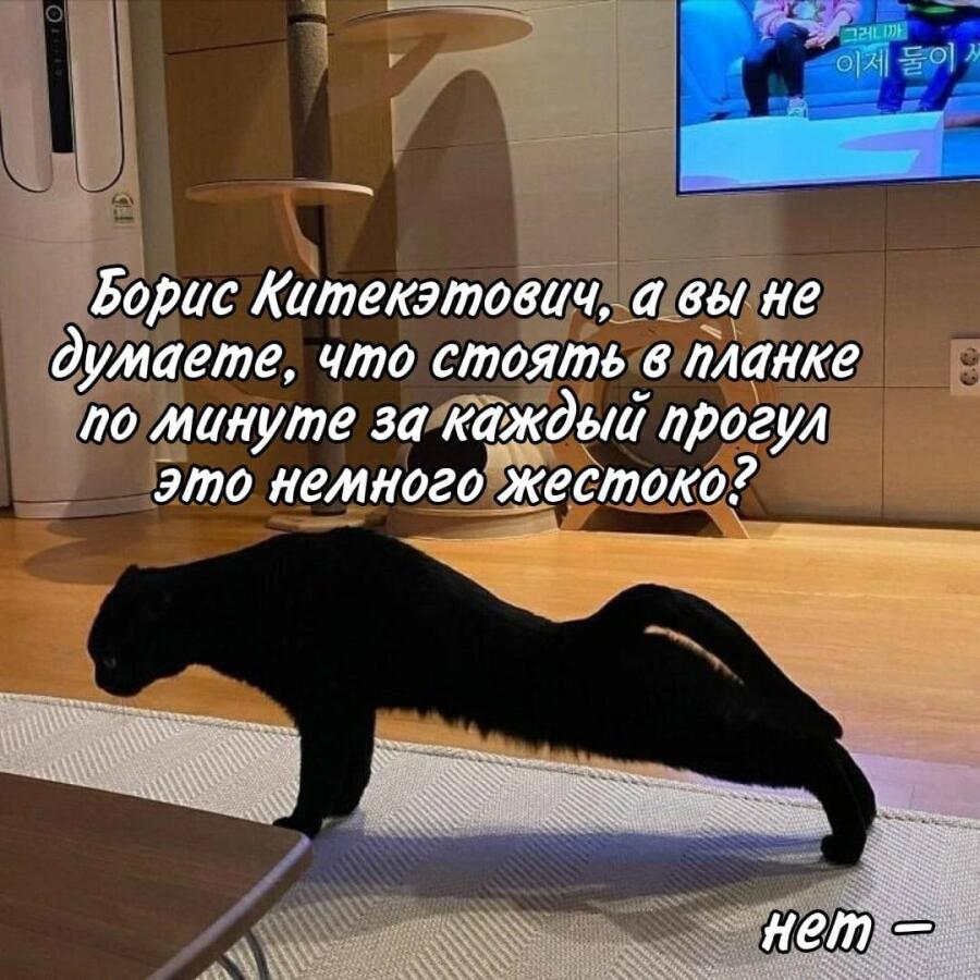 Мем от misfortune official
