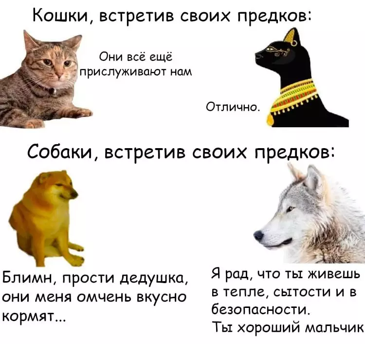 574_63c4ed95ca32d.webp