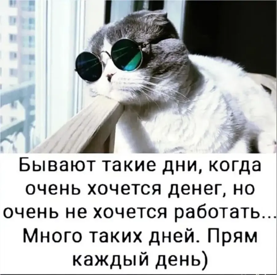 мем, кот, мем с котом, работа | misfortune | Мемозг