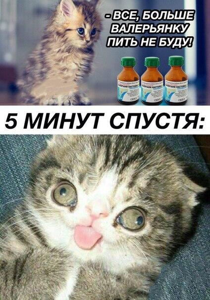 Мем от Darklega
