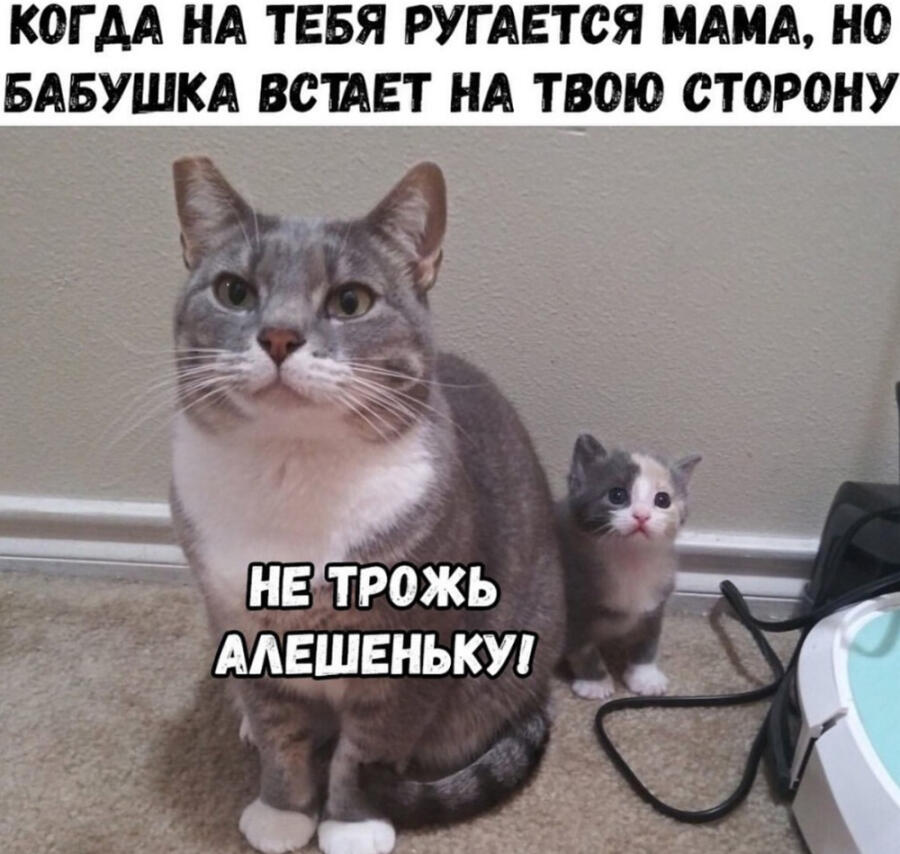 Алешенька - 32 годика