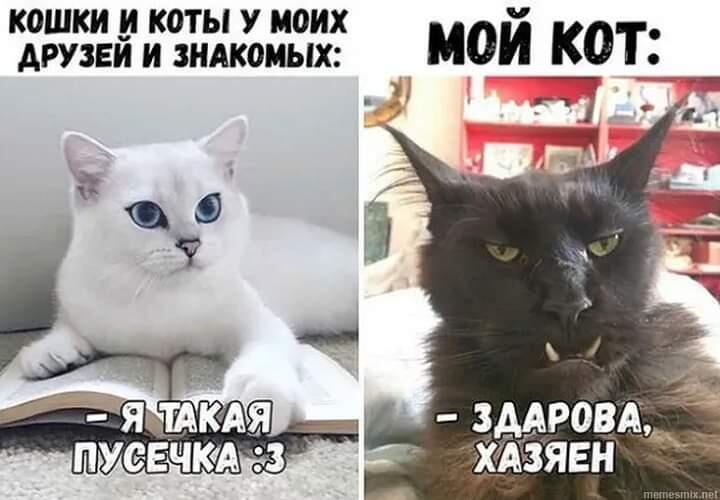 Мем от Darklega