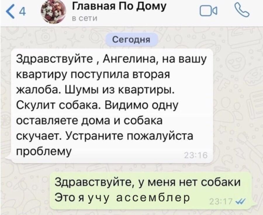 Мем от Myle