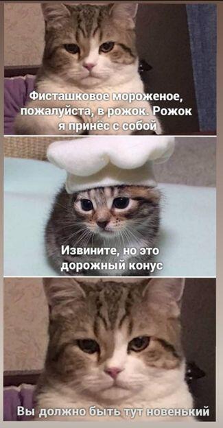 Мем от Myle