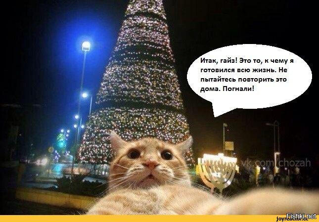 Мем без подписи