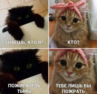 Мем без подписи