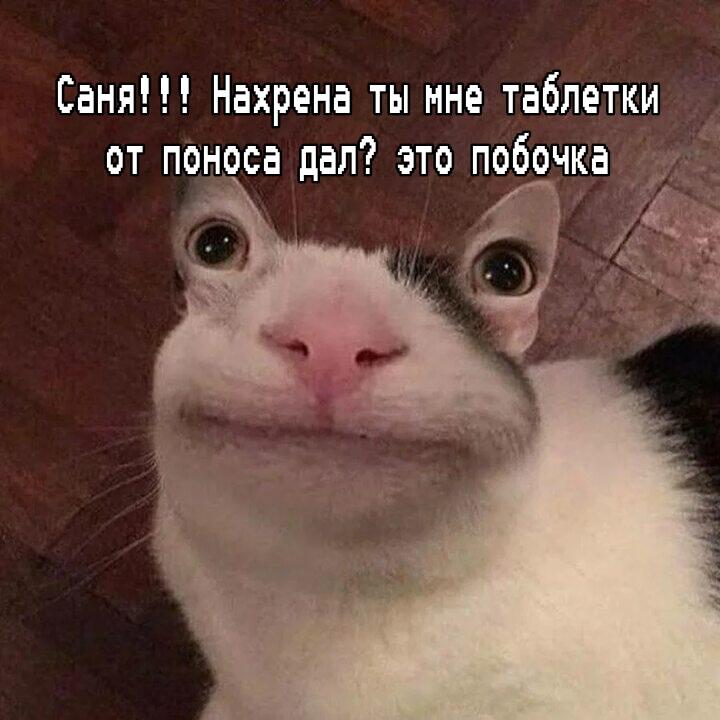 Мем от Лампчка (бебебеПЛМ)