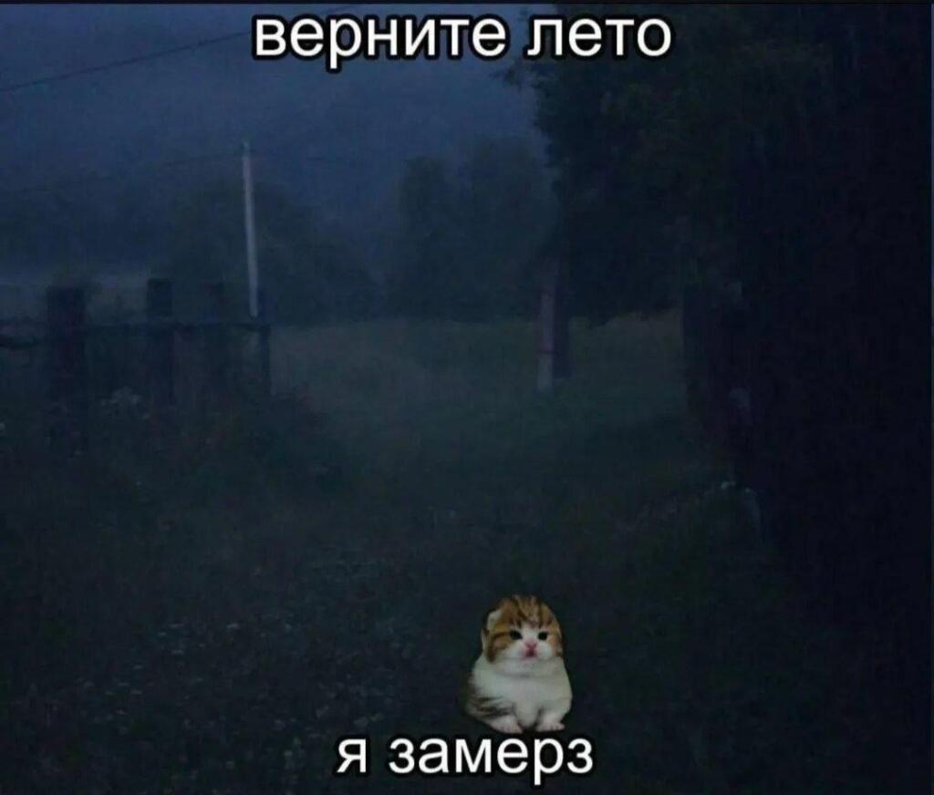 Пж