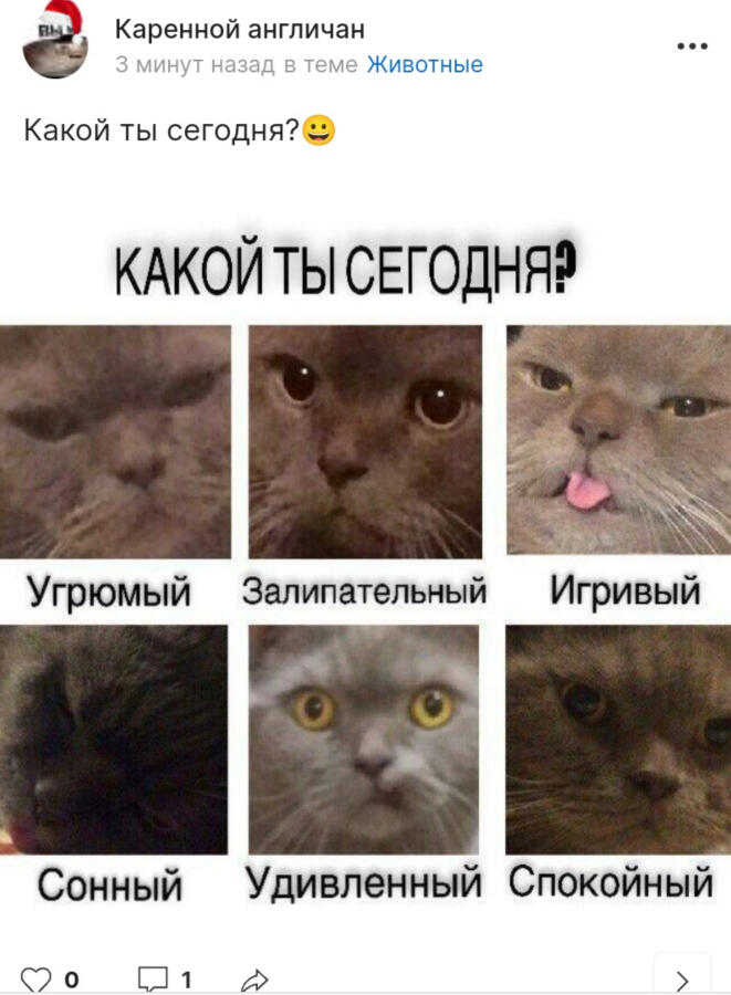 Каренной англичан, я не понял, хватит у всех мемы воровать и переделывать!  
(1 фото плагиат, 2 фото оригинал)