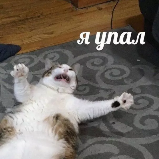 курс рубля: повышается курс доллара и евро: ЛИСИЦА ФЫР ФЫР Мемозг
