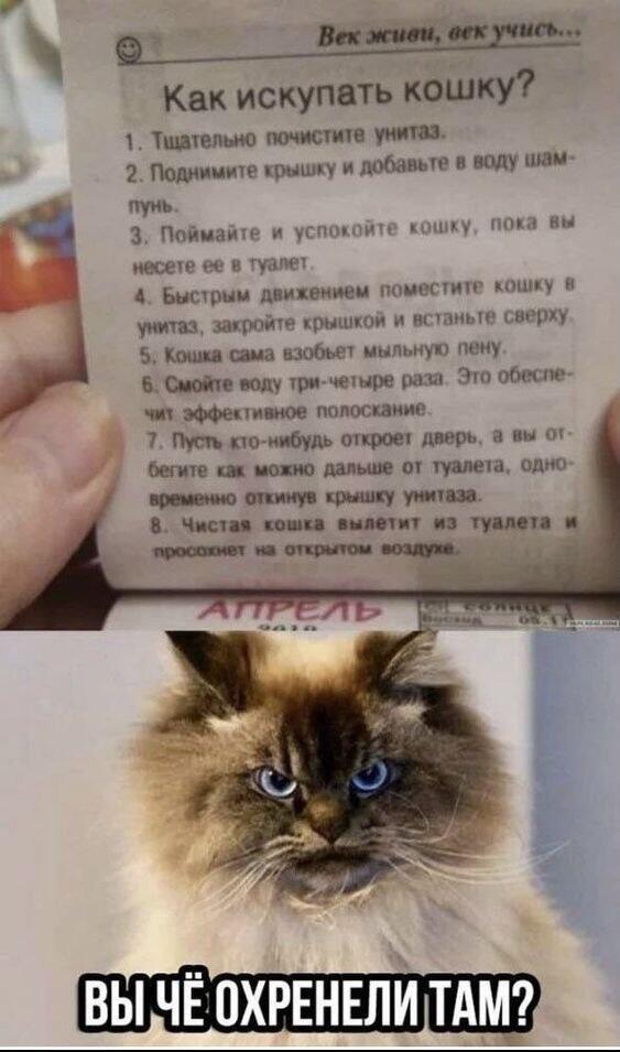 Расширение мокроты