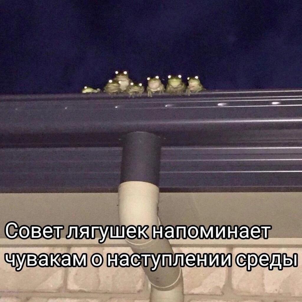 Мем от Милый Котяра