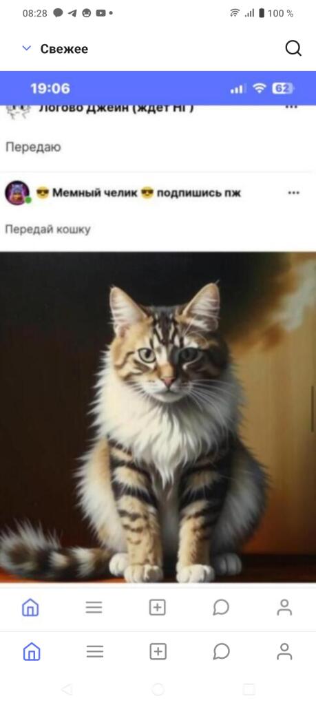 Передай кошку. ЛОЛ