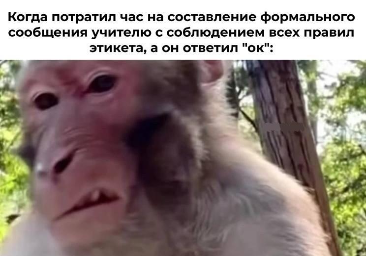 Мем без подписи
