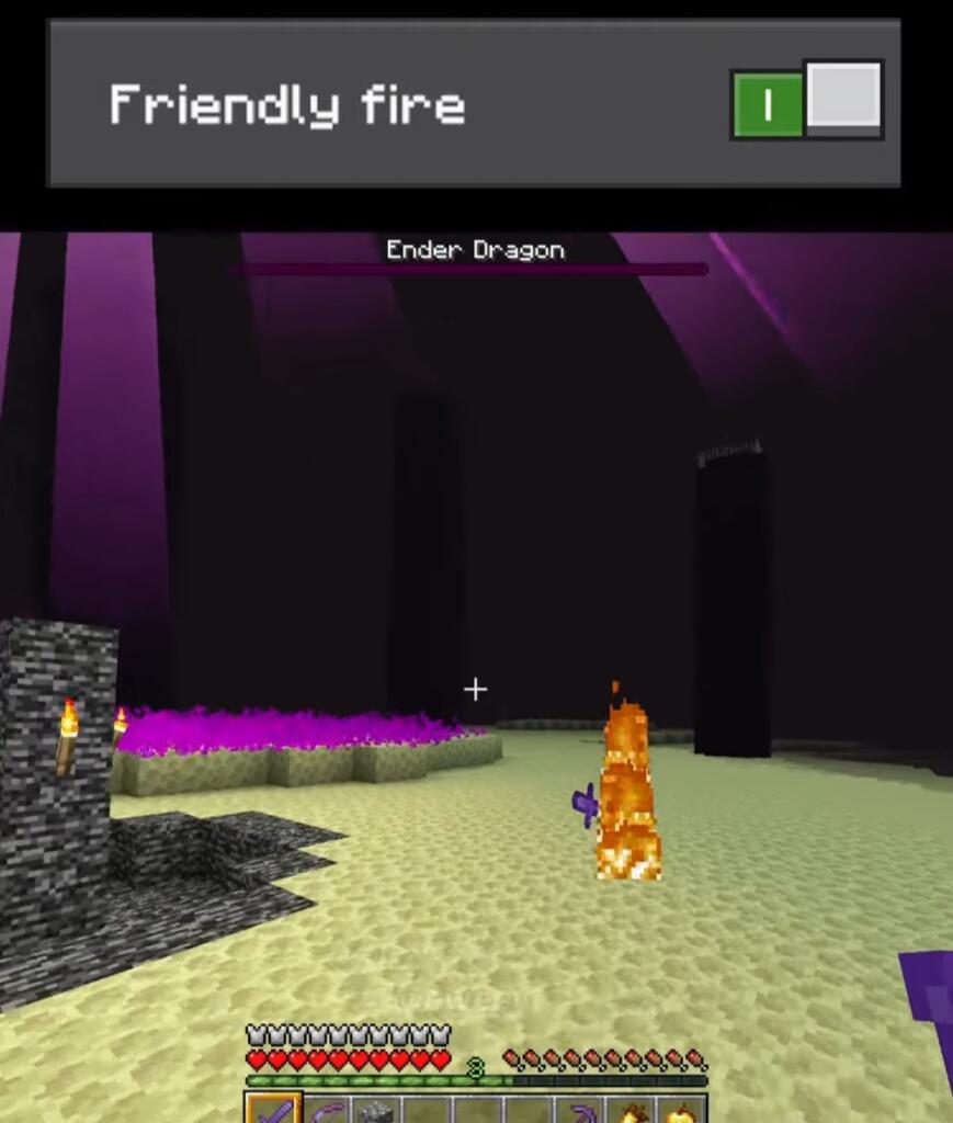 Игрок в Minecraft стоит у фермы, рядом горит огонь, надпись Friendly fire (4 из 4)