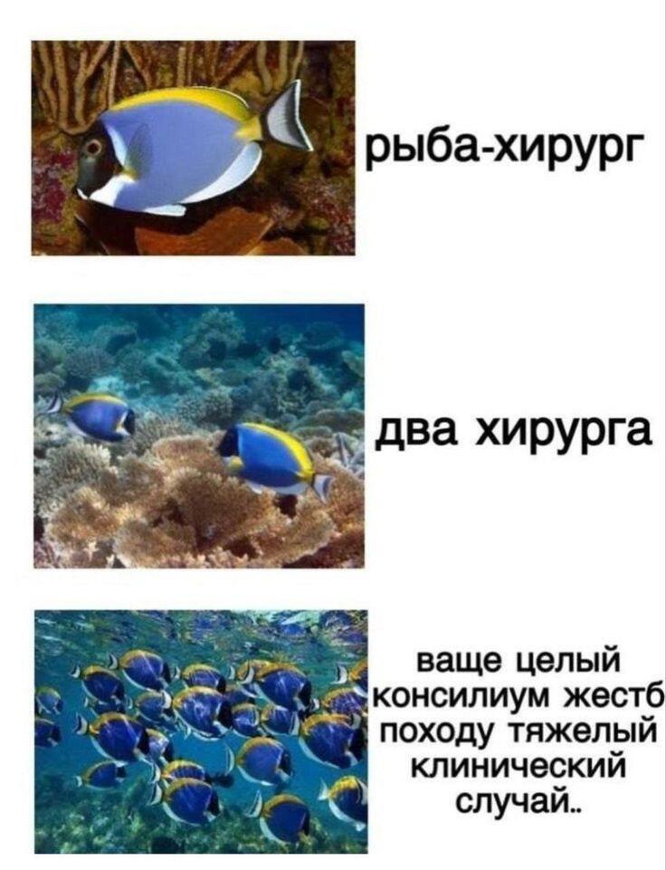 привет! Я Дори! У меня проблемы с краткосрочной памятью!
привет! Я Дори! У меня проблемы с краткосрочной памятью!