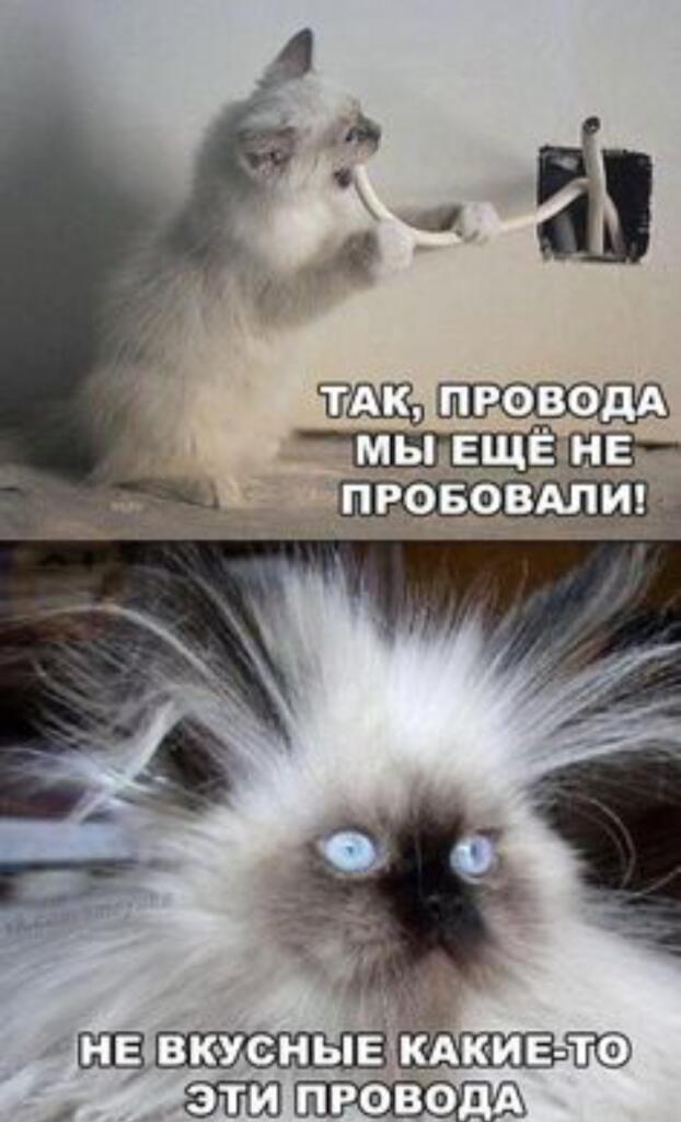 Мем без подписи