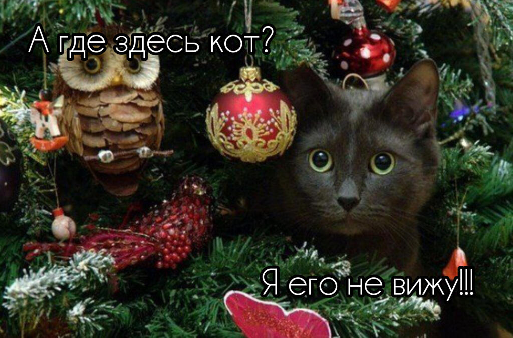 Елка
