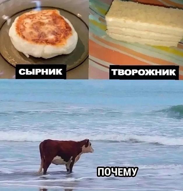 Мем от Miyo