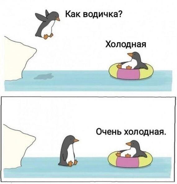 Мем без подписи