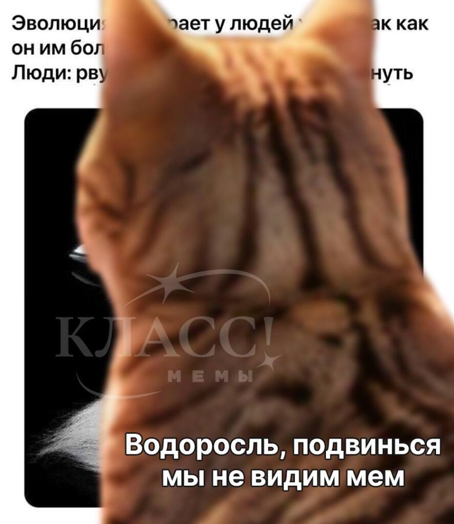 Мем от misfortune official