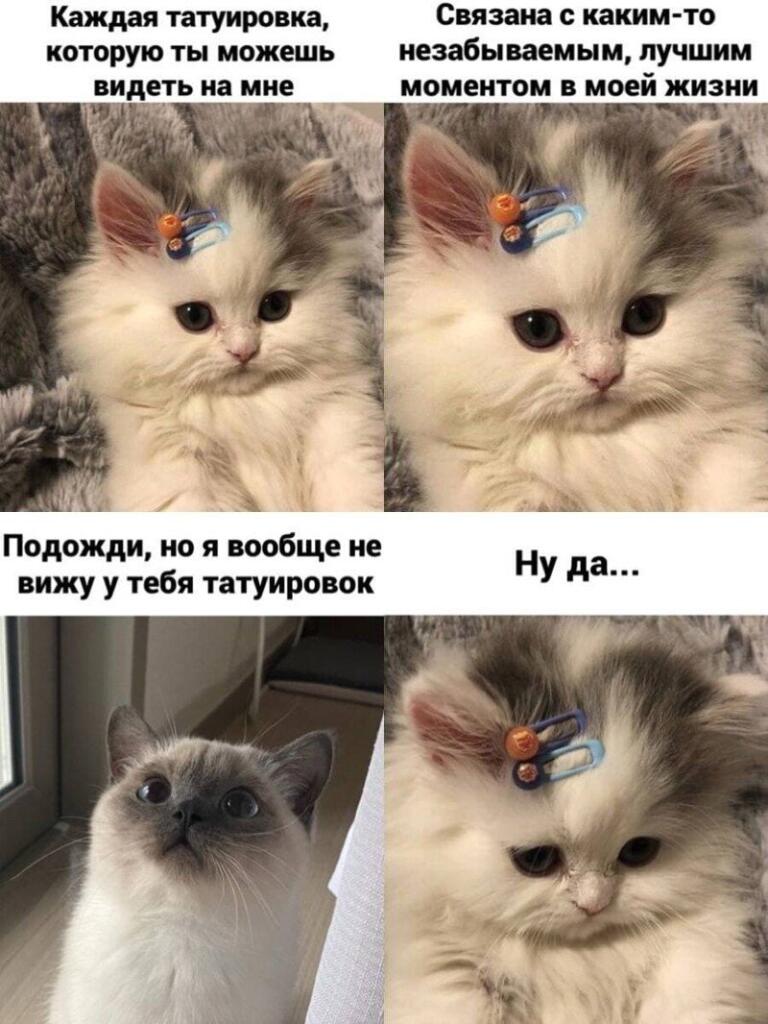 Женская территория (@obovseminiochemm) * Instagram photos and videos Cat memoria