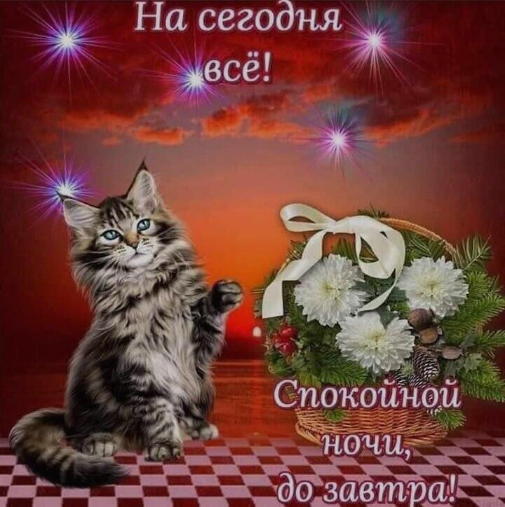 Мем от Forvil🔧