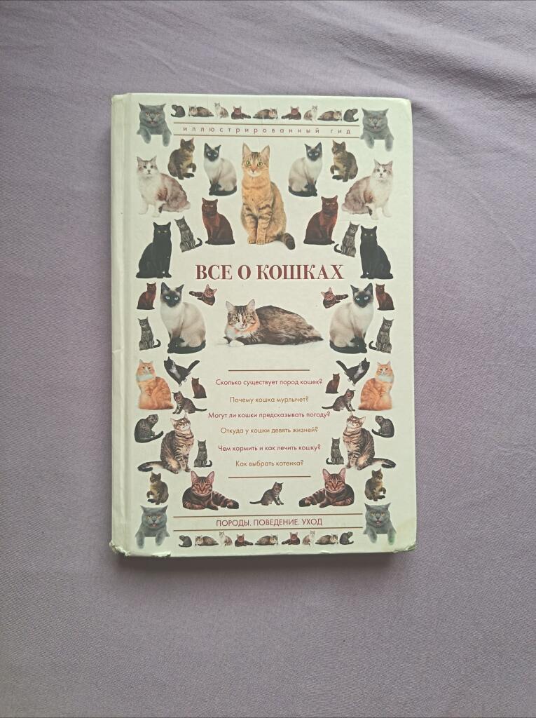 — Идеальной книги не существует. 
Идеальная книга: