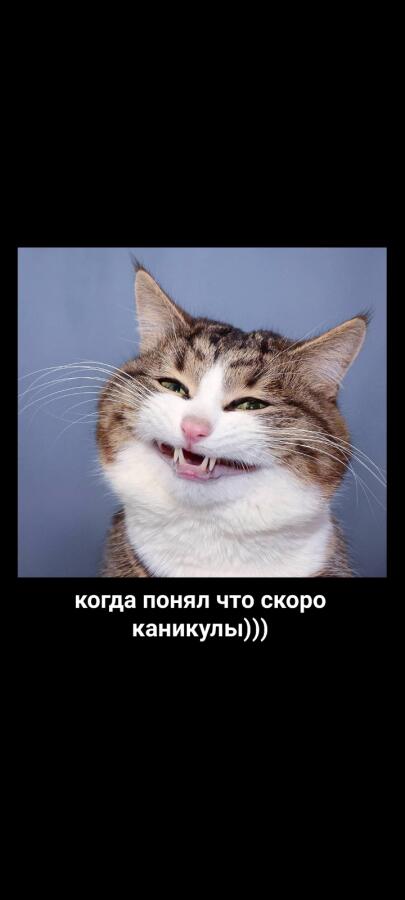 кто тоже рад то что скоро четверть скоро зокончица