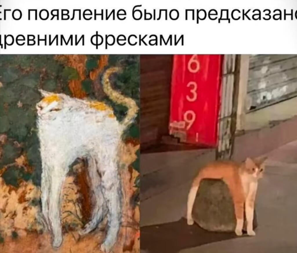 Мем от Илюха {ПЛМ}