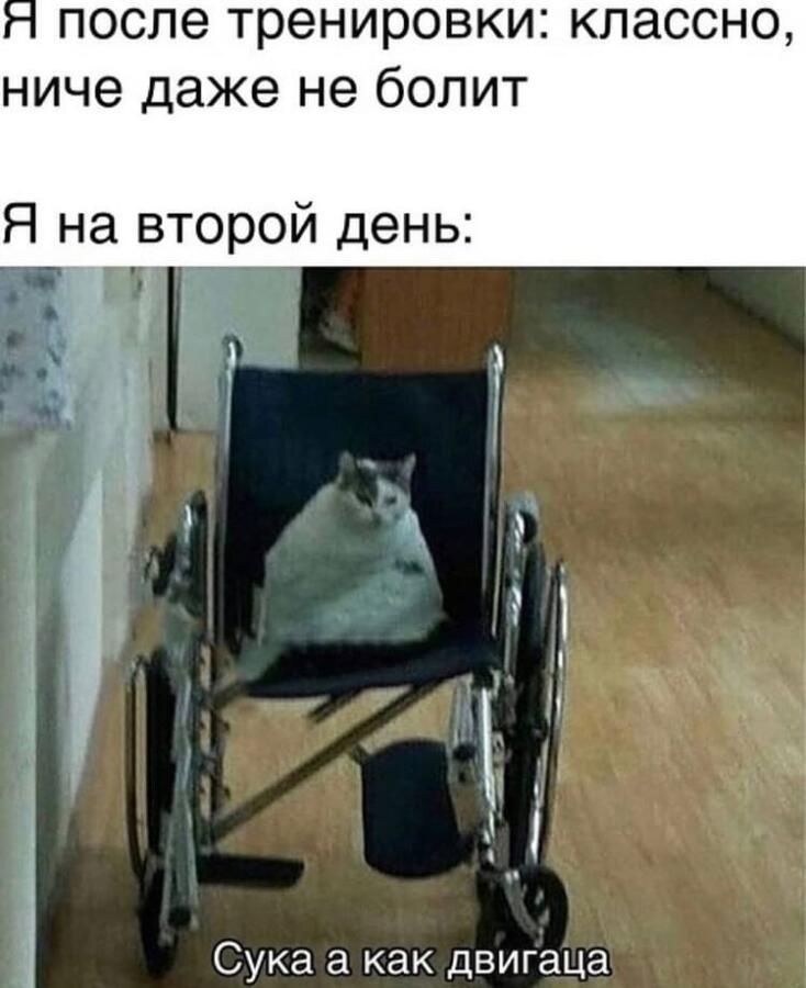я после плавания еле держусь от того чтобы не уснуть 
а потом через пол часа я ухожу в школу полостью уставший ещё с ут