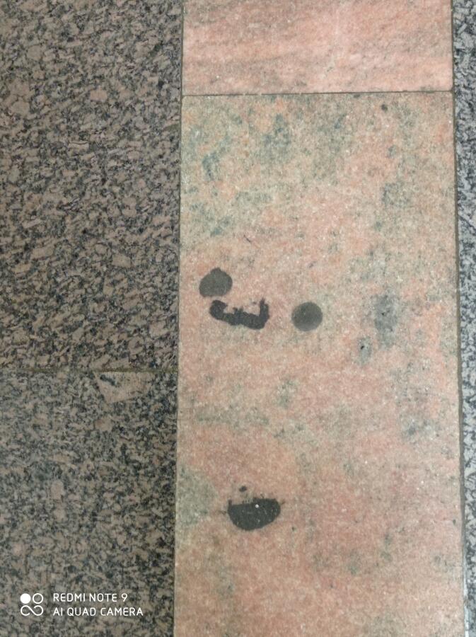 Иду я значит по метро и вижу......... 
Котэйка😺😸