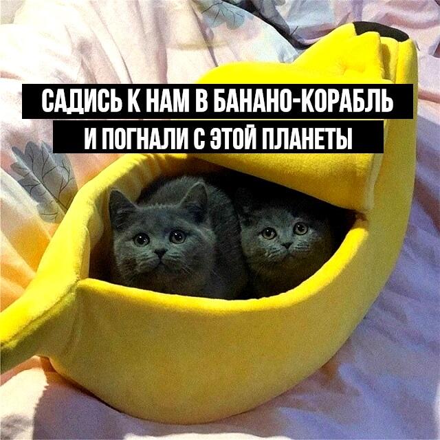 Мем от Алексей Сова