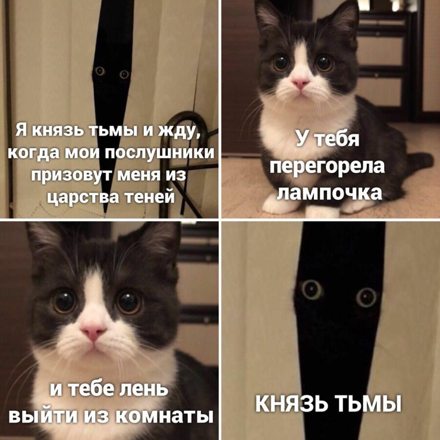 Мем от 🎄Коренной Англичан 🎄