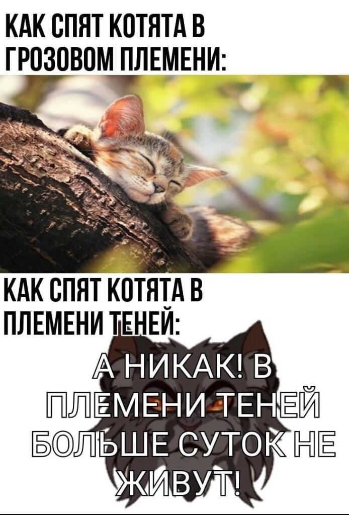 Мем от _утка_шутка_