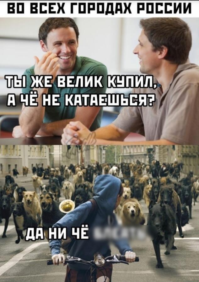 Мем от Коть