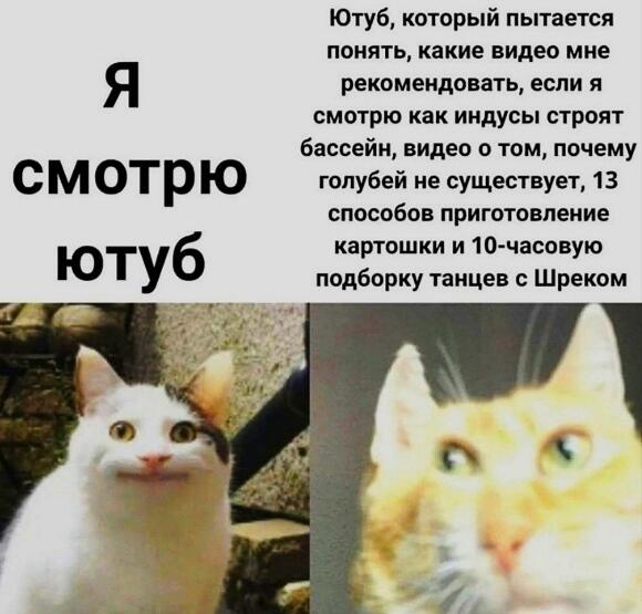 Жиза