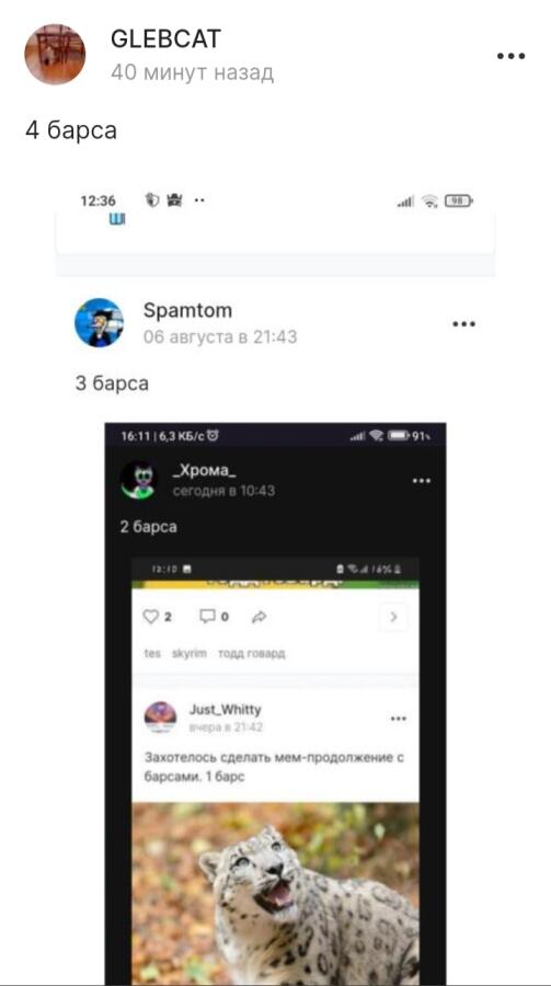 5 барсов