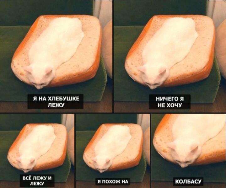Песенка про меня))))